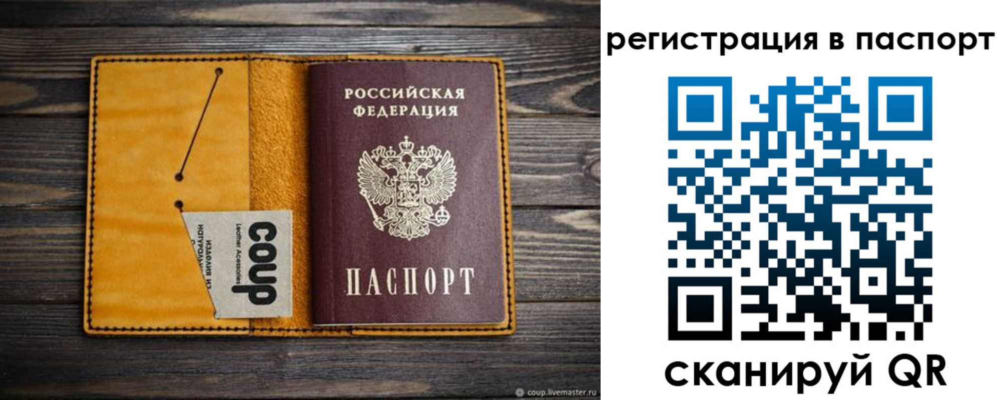 прописка ребенка в Кудрово